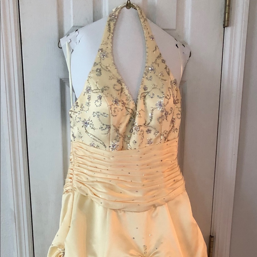 Mori lee custom belle dress